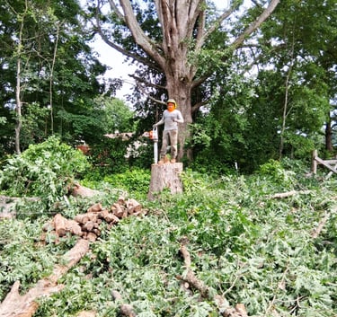 Arborist standing on a tree stump surrounded by fallen branches after a complete tree removal servic