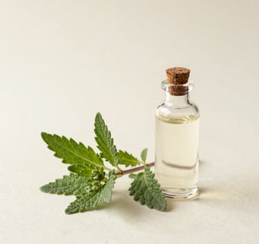 A symbolic still-life photo of a sprig of fresh medicinal herbs lying next to a small, elegant glass bottle, soft cream background, minimalist composition, soft morning light.