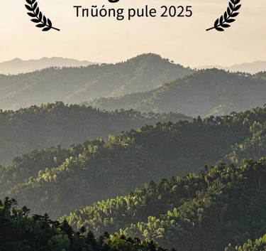 A wide-angle landscape shot of the Trường Sơn mountain range at dawn, layers of forest in dark forest green and eucalyptus green under a mist-filled soft cream sky, professional photography.