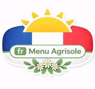 icona menu bandiera francia