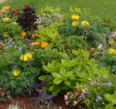 Créations de massifs à Soisy-sur-Seine et aux alentours.