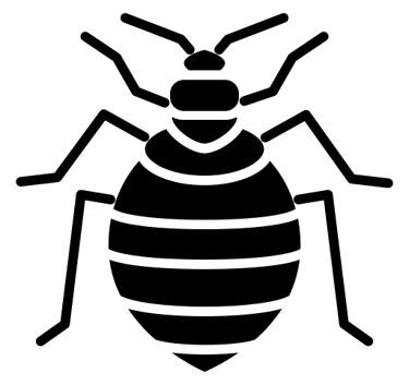 désinsectisation punaises de lit Nice