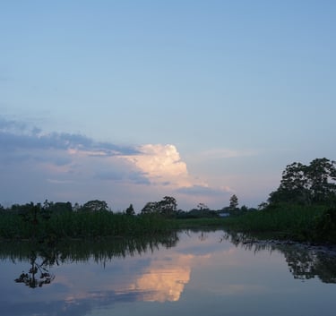 Serene tropical river landscape with sunset clouds reflecting in the calm water at dusk.