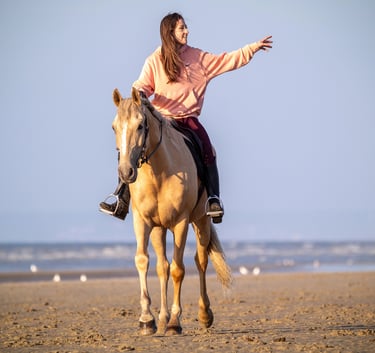 couple cavalier cheval la plage