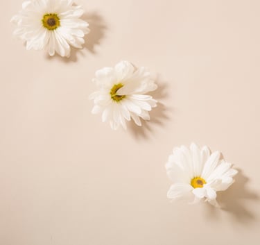 terapia hormonal murcia ginecologa pellets desequlibrio hormonal SOP ovario menopausia sofocos 