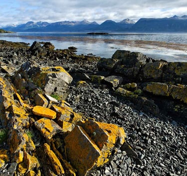 Un paysage de roches en Patagonie