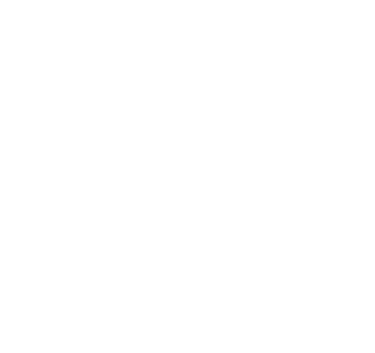 Practitioner Logo