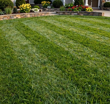 A wide-angle landscape photograph of a perfectly manicured lawn with crisp edges and vibrant green grass, featuring a sophisticated stone garden bed with perennials in a North American / US suburban setting under soft morning light.
