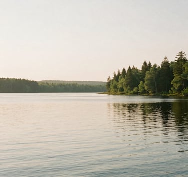 A wide photography shot of a peaceful North American landscape at sunrise. The soft light of a new day reflects on a calm body of water, symbolizing hope and resilience. The color palette features soft greens and off-white hazy light, creating a serene and welcoming atmosphere.