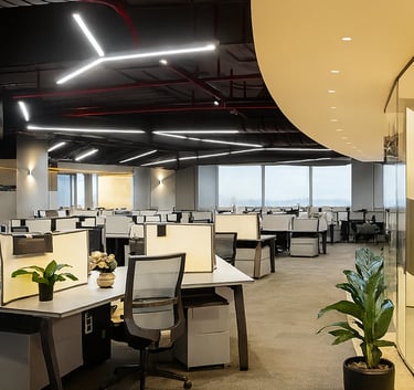 Open space, bureaux, éclairage, plante