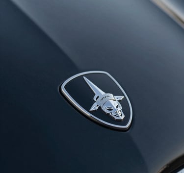 Close-up of a premium car emblem on a clean dark navy hood, with soft lighting reflecting a sense of luxury and meticulous care.