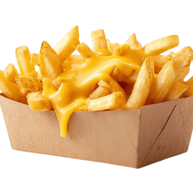 Cheese Fries