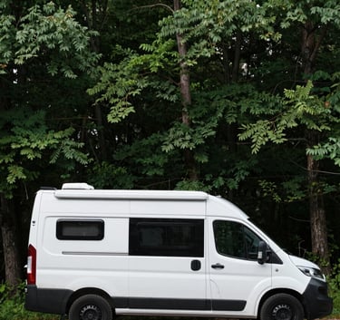 A minimalist, aesthetic view of a camper van parked in a lush Northern European forest. The scene is calm and professional, emphasizing a grounded and focused lifestyle away from the urban noise.