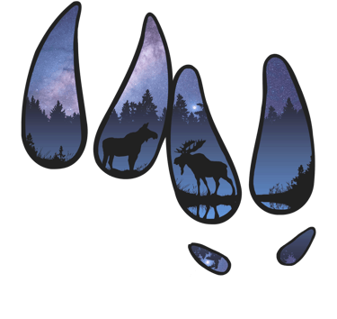 a moose and a moose in the woods