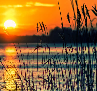 a sunset over Lake Texoma with tall grass