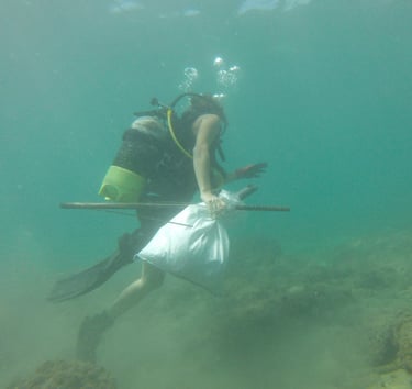 Underwater cleanups