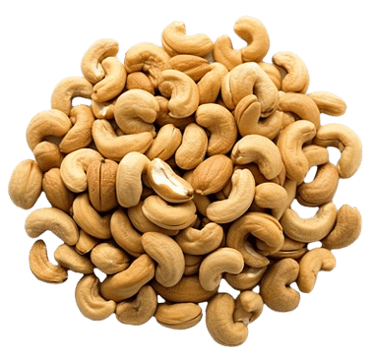 cashewnut canada