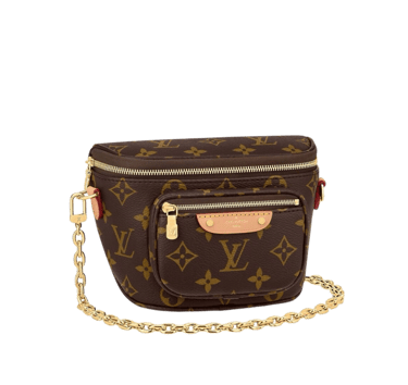Louis Vuitton Bumbag