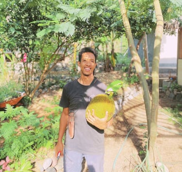 Juliantara smiling while holding a ripe jackfruit in a shaded edible garden at Saifana Organic Farm