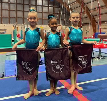 Artistica Jesolo Young 2