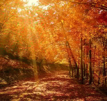 Kundalini, Mother Earth, Nature Kingdom, Kundalini Chakra Healing