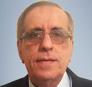 أ.د. محمد السيد