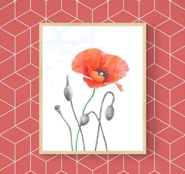 Poppies print framed