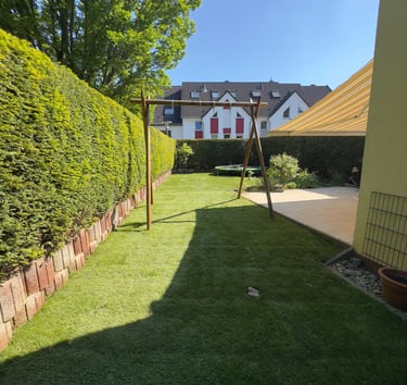 A sunny residential backyard featuring a wooden swing set, lush green lawn, and tall privacy hedges.