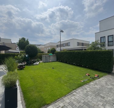 Professional gardener trimming hedges and mowing a lush green lawn in a modern residential backyard.