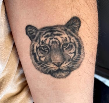 Sugijusi detali tigro tatuiruote ant rankos