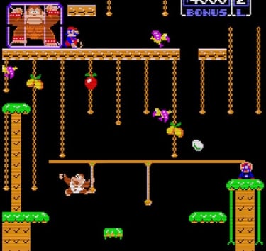 Donkey Kong Junior Stage 3