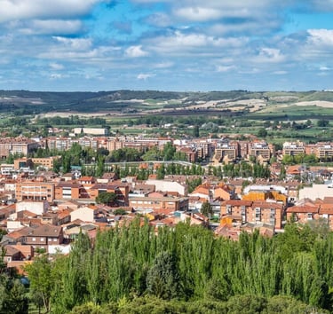 Palencia. Vista general desde el Otero