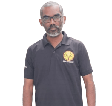P Morthegai