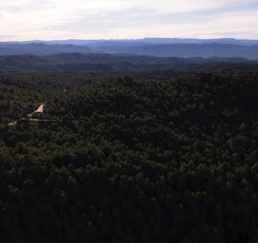 Trabajar en el campo