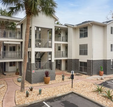 a building with a palm tree and a parking meter