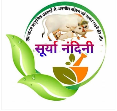 suryanandini logo