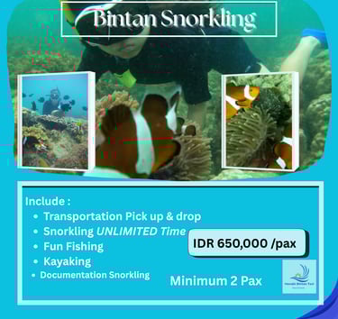 Bintan Snorkeling