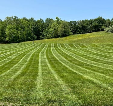 Freshly mowed lawn with clean striping from professional lawn care services by Valor Home Profession