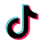 Download TikTok Video Without Watermark