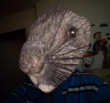 Ruxi