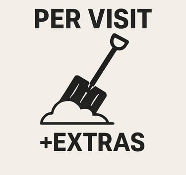 per-visit service  plus extras 