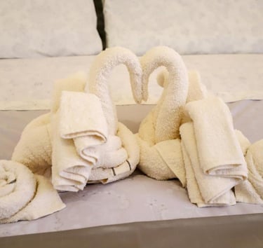 due cigni fatti con gli asciugamani 