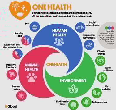 One Health