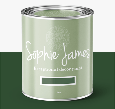 Sophie James Decor Paint in the colour Box of Frogs