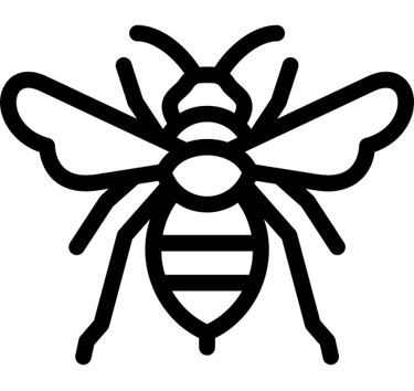 destruction nids de guêpes et frelons a Nice et 06