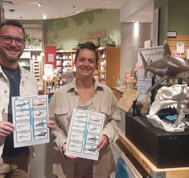 un coupe qui a le diplôme shark eduation club chez nature et décourvertes