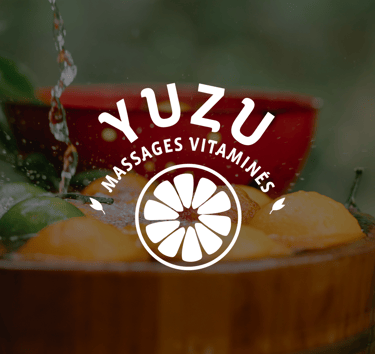 Logo Projet Yuzu