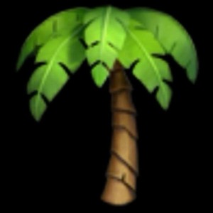 a palm tree with a palm tree in the background