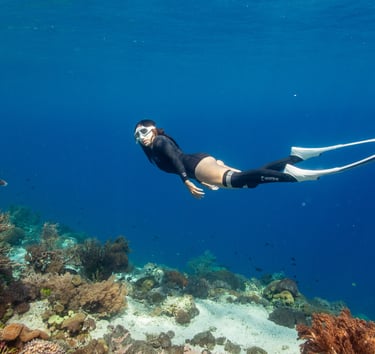 female freediver with beautiful corals in alor 