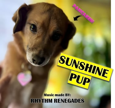Sunshine Pup